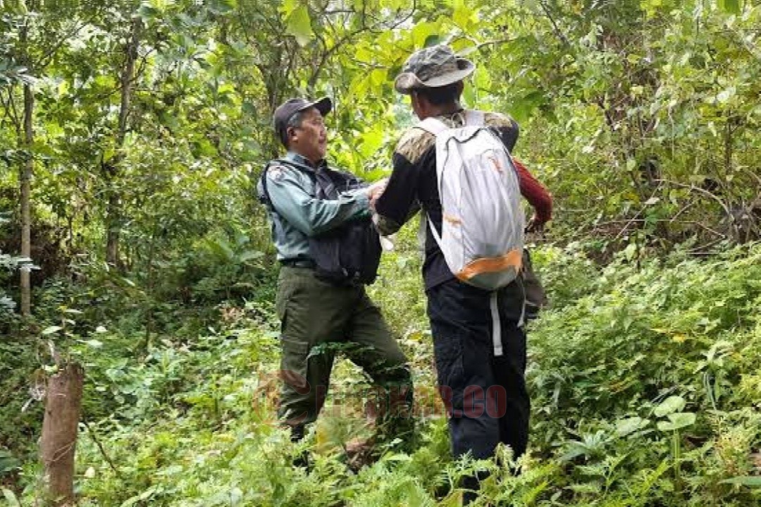 Aktivitas tim patroli Balai Besar KSDA Jawa Timur di hutan Bawean. Foto: dokumentasi