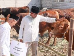 Sembelih 116 Sapi Kurban, BAZNAS Jateng Bagikan Daging Dalam Bentuk Kornet