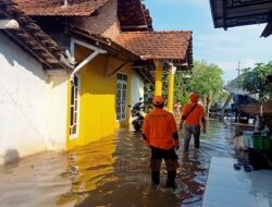 Banjir Rob Rendam Empat Desa di Tayu, Pati, Warga Diminta Waspada dan Siap Ngungsi