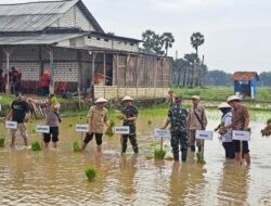 Rembang Optimalkan Masa Tanam III, Target Luas Tanam Padi Capai 45 Ribu Hektare
