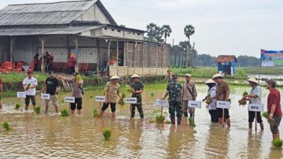 Rembang Optimalkan Masa Tanam III, Target Luas Tanam Padi Capai 45 Ribu Hektare