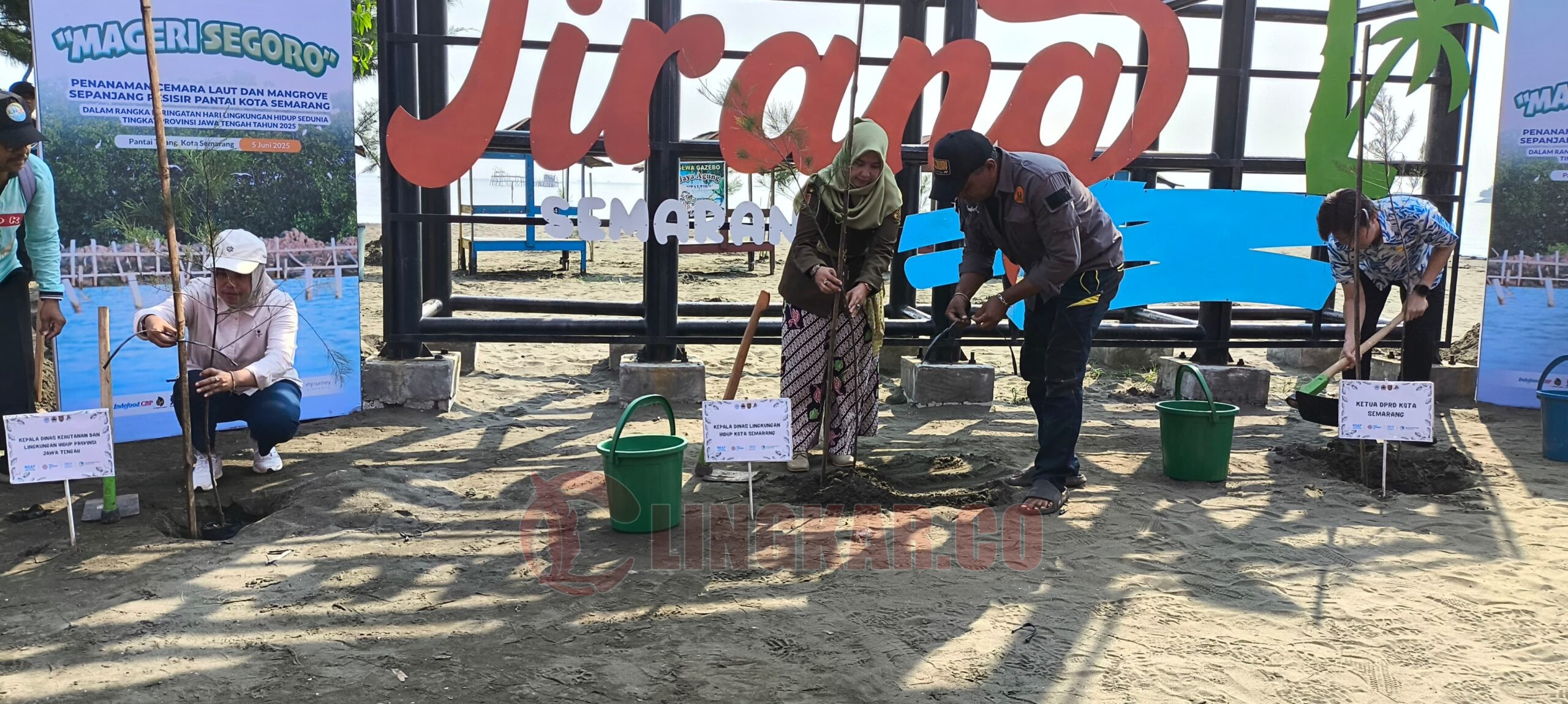 Kepala DLH Kota Semarang, Arwita Mawarti tanam pohon cemara dalam memperingati Hari Lingkungan Hidup Sedunia tahun 2025. (dok Alan Henry)