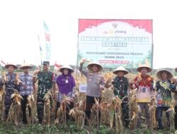 Dukung Swasembada Pangan Nasional, Kapolres Purworejo Pimpin Panen Raya Jagung