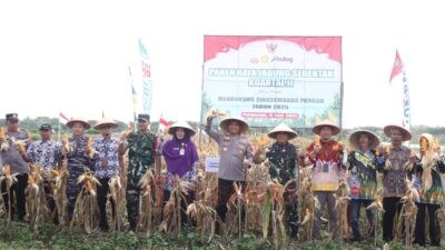 Dukung Swasembada Pangan Nasional, Kapolres Purworejo Pimpin Panen Raya Jagung
