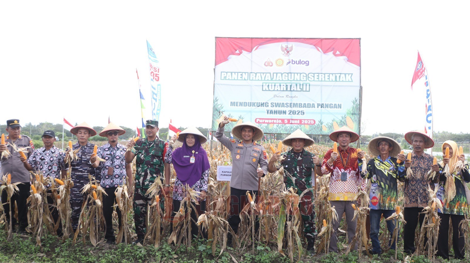 Kapolres Purworejo saat memimpin kegiatan panen raya jagung di Desa Wonosari, Kecamatan Ngombol, Kabupaten Purworejo. Foto: Lukman Khakim/Lingkar.co