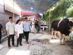 Tingkatkan Solidaritas dan Toleransi Pada Perayaan Idul Adha, Agustina Serahkan Hewan Kurban di Balaikota Semarang