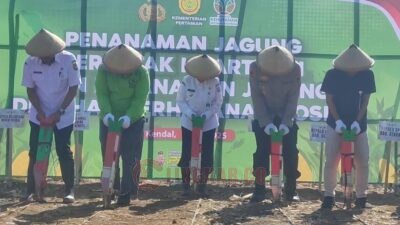 Galakkan Ketahanan Pangan, Polres dan Pemkab Kendal Tanam Jagung Serentak di Lahan Hutan Sosial di Desa Wonosari