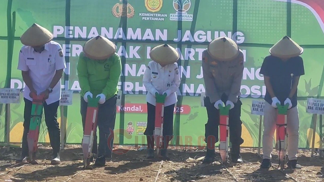 Polres Kendal bersama Pemerintah Kabupaten (Pemkab) Kendal menggelar kegiatan penanaman jagung serentak di lahan perhutanan sosial Desa Wonosari, Kecamatan Pegandon, Rabu (9/7/2025).
