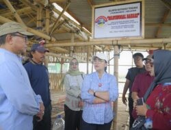 Tambakrejo Disiapkan Jadi Destinasi Ekowisata Mangrove, Wali Kota Semarang Fokus Kembangkan Pariwisata Berbasis Lingkungan