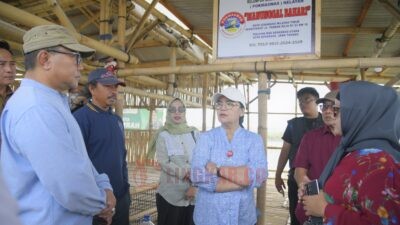 Tambakrejo Disiapkan Jadi Destinasi Ekowisata Mangrove, Wali Kota Semarang Fokus Kembangkan Pariwisata Berbasis Lingkungan