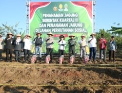 Semarang Siap Dukung Ketahanan Pangan Nasional, Agustina Dorong Optimalisasi Lahan Tidur