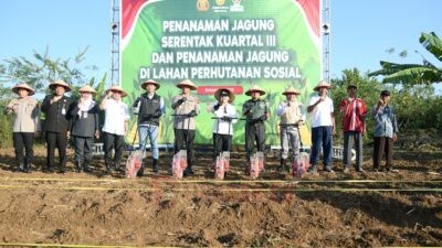 Semarang Siap Dukung Ketahanan Pangan Nasional, Agustina Dorong Optimalisasi Lahan Tidur