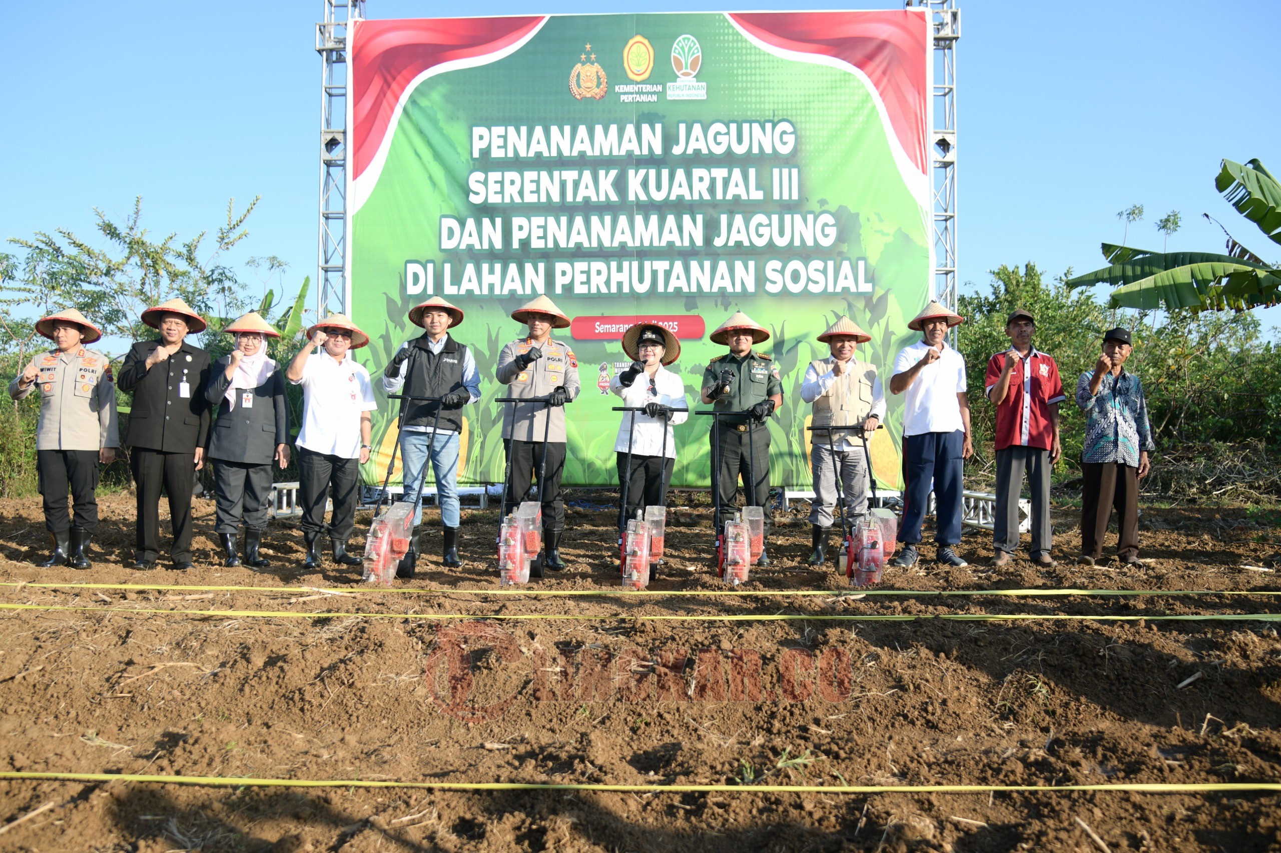 Wali Kota Semarang, Agustina Wilujeng Pramestuti saat menghadiri kegiatan Penanaman Jagung Serentak Kuartal III di Lahan Agro Purwosari, Mijen. (dok Pemkot Semarang)