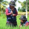 Penyuluh Pertanian Akan Diambil Alih Kementan Mulai 2026, Ini Penjelasan Dispertan Pati