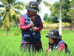 Penyuluh Pertanian Akan Diambil Alih Kementan Mulai 2026, Ini Penjelasan Dispertan Pati