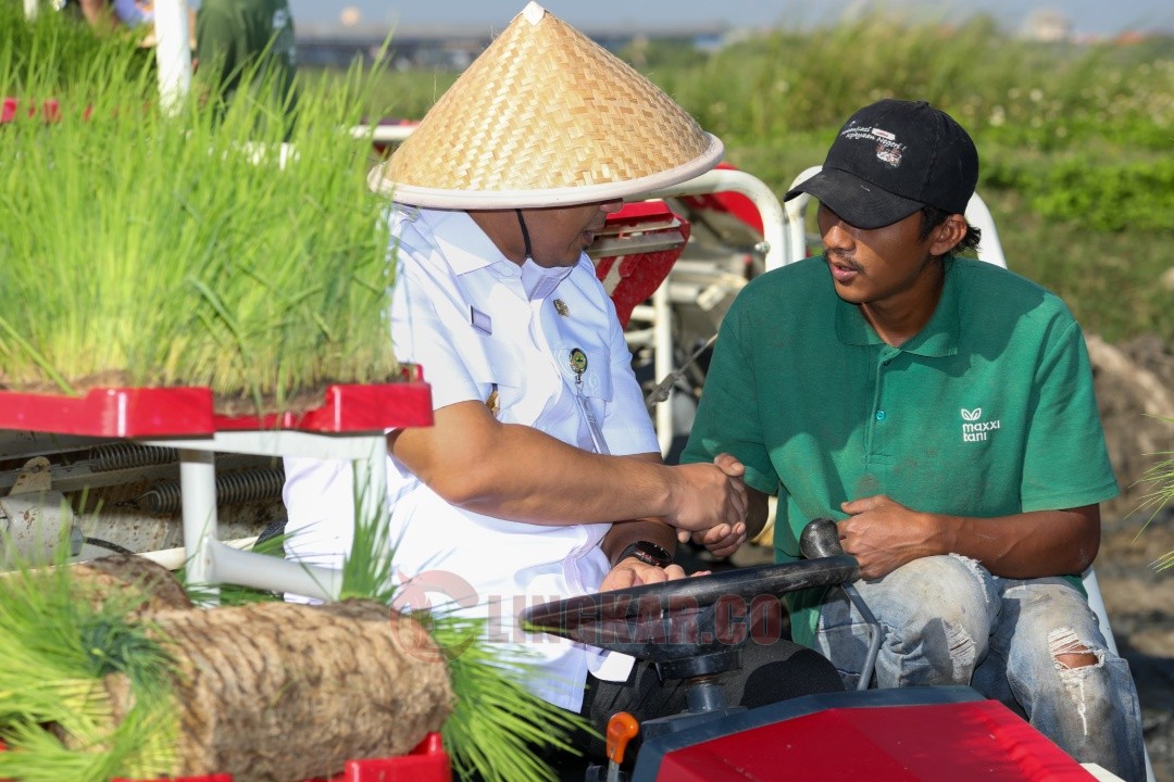 Wagub Jateng Taj Yasin Maimoen saat kegiatan Wiwitan Tandur Pari bertema 'Sinergi Penanganan Sawah Terdampak Banjir untuk Peningkatan Produksi Padi di Kabupaten Demak', di Desa Dukun, Kecamatan Karengtengah Demak