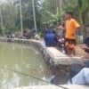 Promosikan Wisata Desa, Pokdarwis Popongan Gelar Lomba Mancing