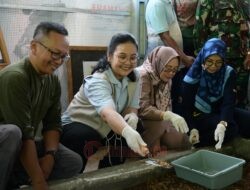 Lewat Inovasi Program Gumregah, Wali kota Semarang Agustina Wilujeng Serius Atasi Sampah Organik