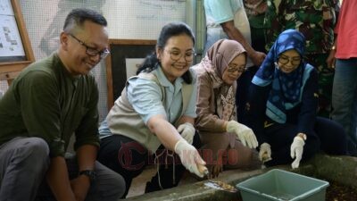 Wali kota Semarang, Agustina Wilujeng menghadiri panen perdana budidaya maggot di Kelurahan Jabungan, Kecamatan Banyumanik. (dok Pemkot Semarang)