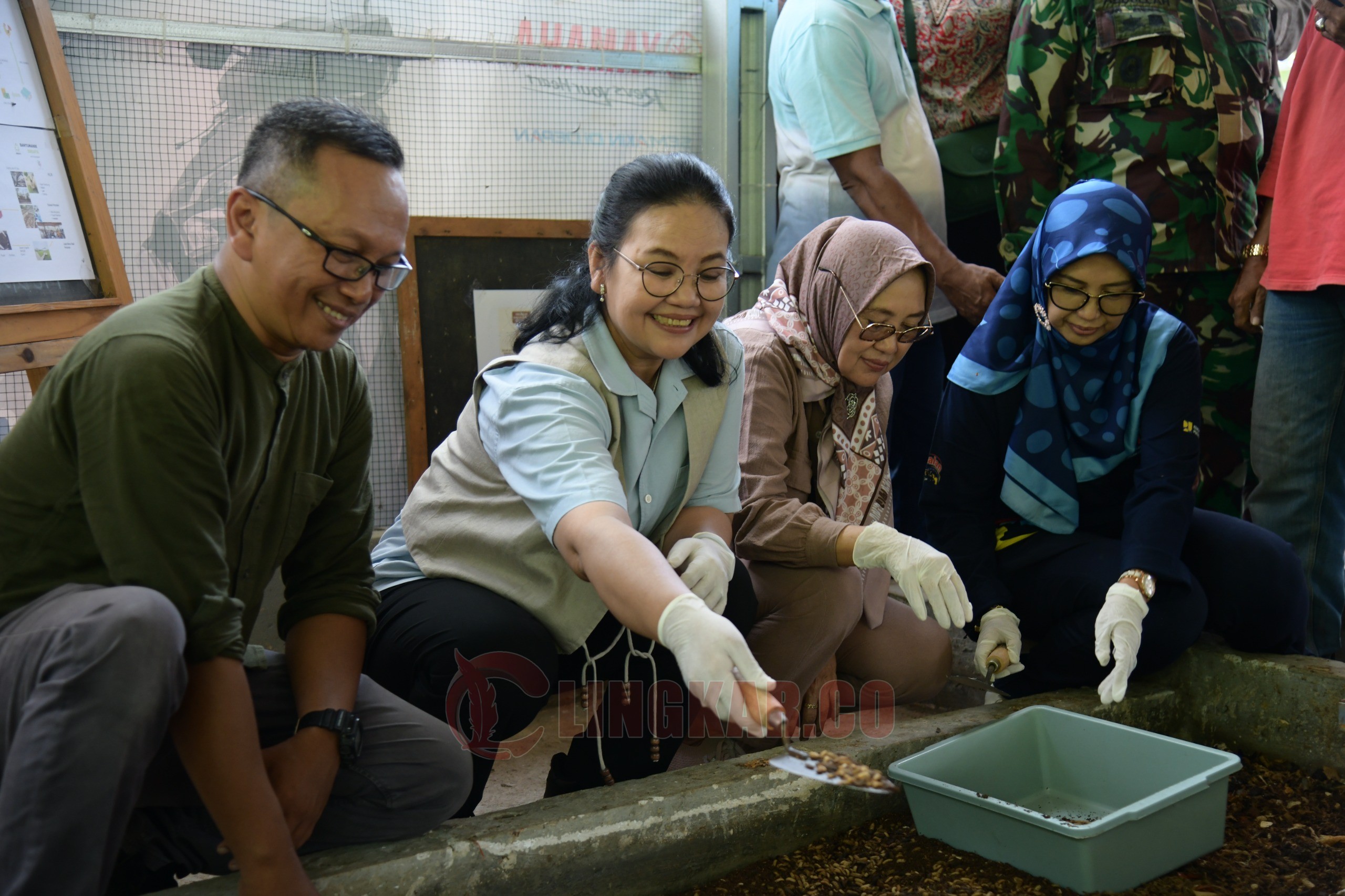 Wali kota Semarang, Agustina Wilujeng menghadiri panen perdana budidaya maggot di Kelurahan Jabungan, Kecamatan Banyumanik. (dok Pemkot Semarang)