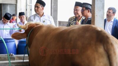 Wakil Gubernur Jawa Tengah Taj Yasin Maemoen saat meresmikan Rumah Pemotongan Hewan Halal MAJT MAS, Jumat (17/10/2025). Foto: dokumentasi