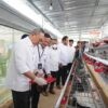 Menko Pangan RI Apresiasi Program Ketahanan Pangan PNM: Panen Brokoli hingga Ayam Petelur di Kopeng
