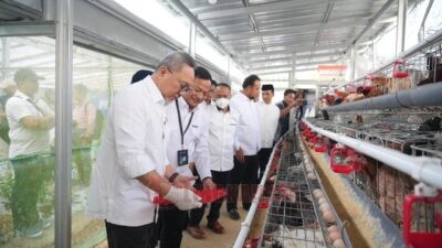 Kunjungan Menko Pangan RI, Zulkifli Hasan ke Rumah Pangan PNM di Kopeng, Kabupaten Semarang. (dok Istimewa)