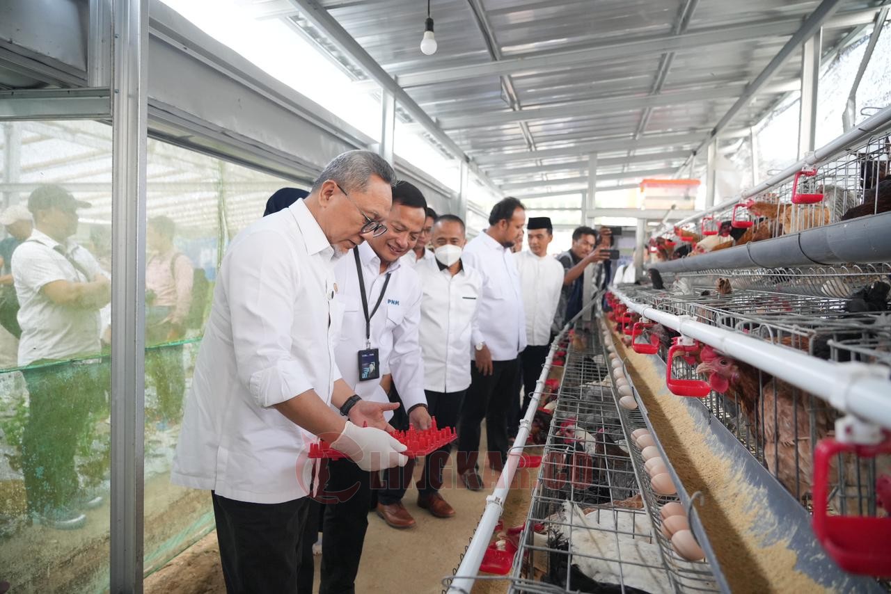 Kunjungan Menko Pangan RI, Zulkifli Hasan ke Rumah Pangan PNM di Kopeng, Kabupaten Semarang. (dok Istimewa)