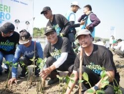 Dukung Gerakan Mageri Segoro, 36 Ribu Bibit Mangrove Ditanam di Rembang