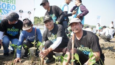 Dukung Gerakan Mageri Segoro, 36 Ribu Bibit Mangrove Ditanam di Rembang