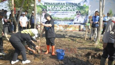 Wali Kota Semarang, Agustina Wilujeng Pramestuti tanam cemara laut dalam acara Program Mageri Segoro yang digelar di kawasan Pantai Mangunharjo, Kecamatan Tugu. (dok Pemkot Semarang)