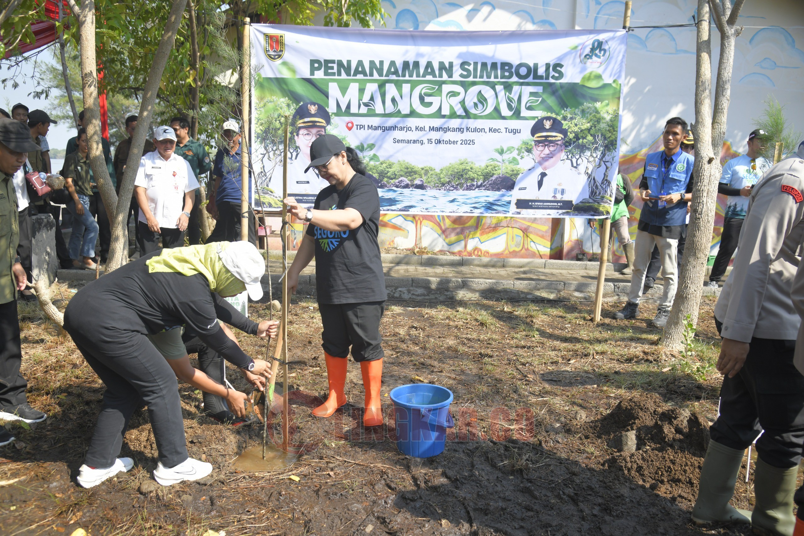 Wali Kota Semarang, Agustina Wilujeng Pramestuti tanam cemara laut dalam acara Program Mageri Segoro yang digelar di kawasan Pantai Mangunharjo, Kecamatan Tugu. (dok Pemkot Semarang)