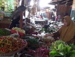 Dampak Program MBG, Harga Sayur dan Bumbu Dapur di Pasaran Jadi Naik