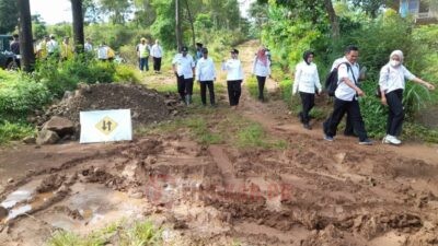 Bupati Tika dan Dinas PUPR Kabupaten saat meninjau jalan Desa Mulyosari - Damarjati yang belum pernah tersentuh oleh pembangunan sama sekali, Rabu (19/11/2025).