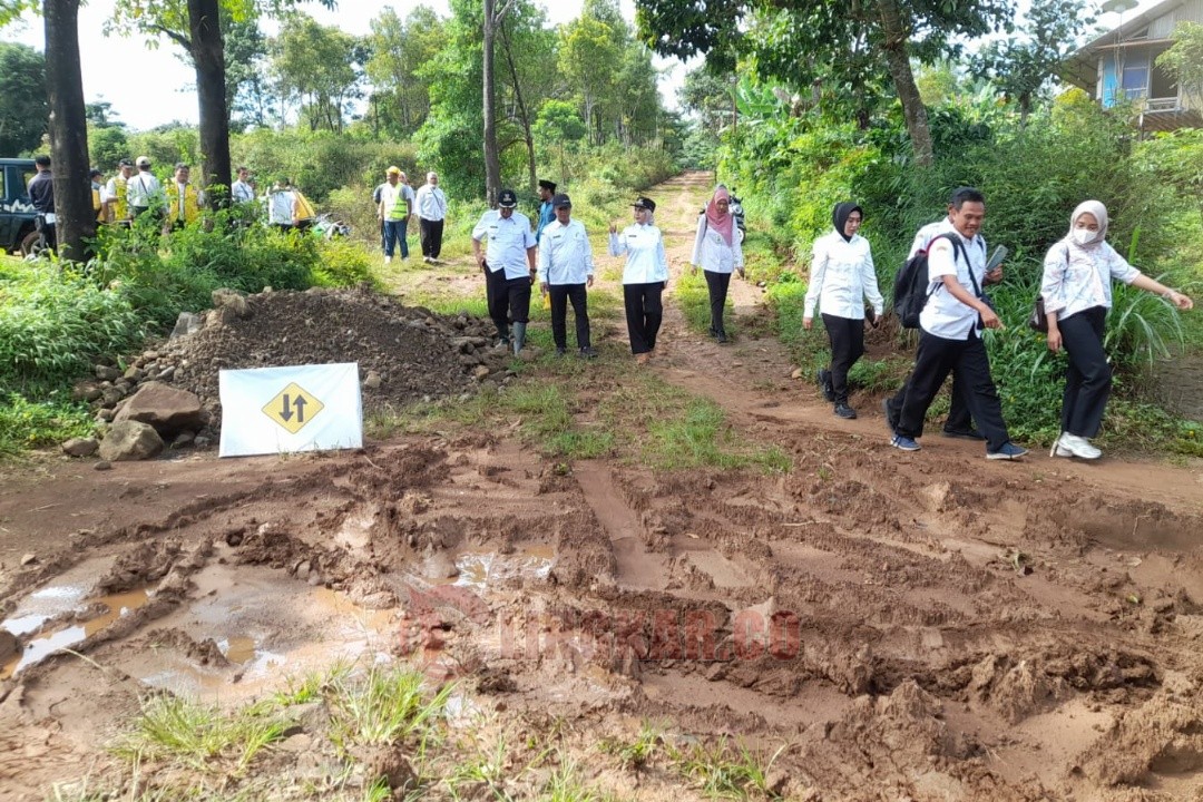 Bupati Tika dan Dinas PUPR Kabupaten saat meninjau jalan Desa Mulyosari - Damarjati yang belum pernah tersentuh oleh pembangunan sama sekali, Rabu (19/11/2025).
