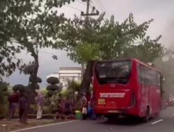 Trans Semarang Kaji Ulang Rute Ekstrim, Imbas Banyak Armada Alami Insiden