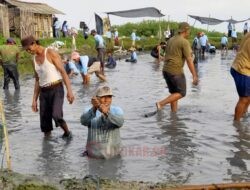 Festival Berkat Bandeng di Bakaran Wetan Meriah, Warga Antusias Ikut Panen Gogo