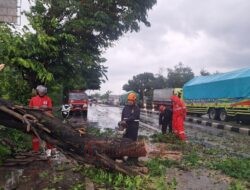 8 Kecamatan di Kendal Terdampak Banjir hingga Longsor