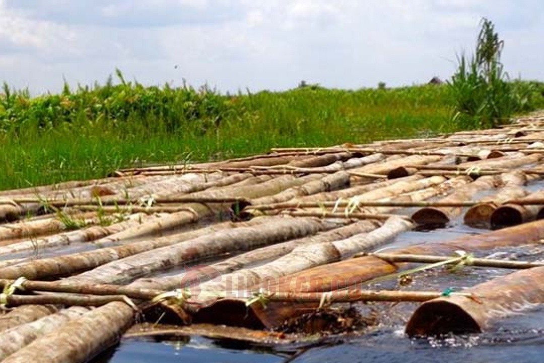 Ilustrasi ilegal logging di Sumatra. Foto: Mongabay