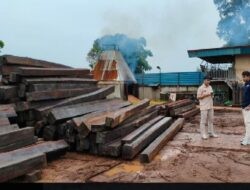Kejari Batam Nyatakan Berkas Perkara Dua Tersangka Jaringan Peredaran Kayu PHAT Ilegal Antar Pulau Sudah P-21