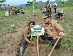 Sepanjang Tahun 2025, Perhutani KPH Purwodadi Tanam 55.858 Bibit Pohon di Wilayah Hutan Seluas 119,1 hektar
