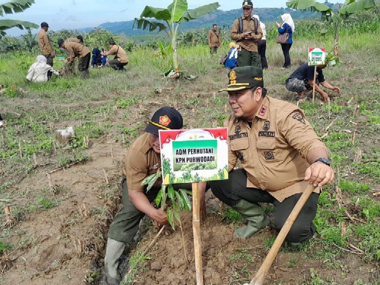 Sepanjang Tahun 2025, Perhutani KPH Purwodadi Tanam 55.858 Bibit Pohon di Wilayah Hutan Seluas 119,1 hektar