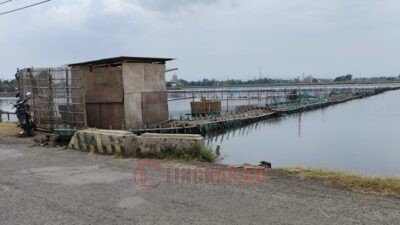 80 Hektar Tambak di Kendal Terendam Rob, Terparah di Kartikajaya dan Wonosari