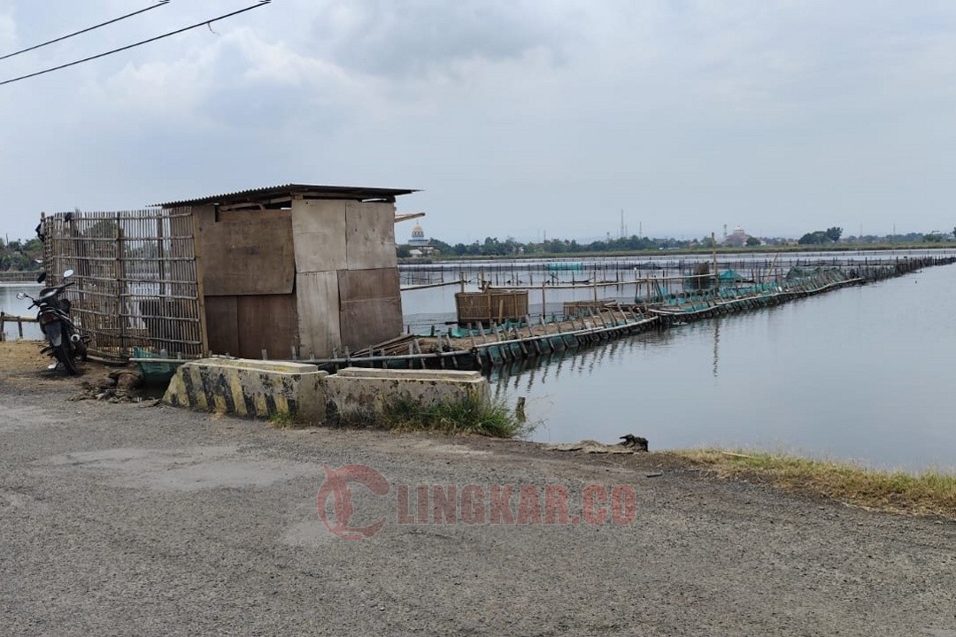 80 Hektar Tambak di Kendal Terendam Rob, Terparah di Kartikajaya dan Wonosari