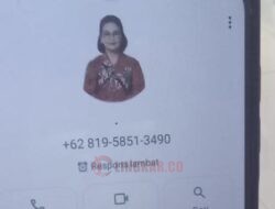 Waspada, Penipuan WhatsApp Gunakan Foto Wali Kota Agustina untuk Kepentingan Pribadi