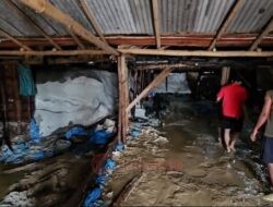 Banjir Parah di Batangan, Kerugian Petani Garam dan Ikan Tembus Rp 4 Miliar