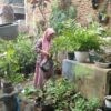 Ketua Muslimat NU Bulusan, Dari Hobi Merawat Tanaman Jadi Cuan.