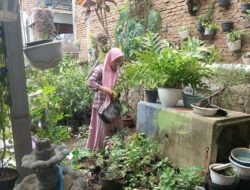 Ketua Muslimat NU Bulusan, Dari Hobi Merawat Tanaman Jadi Cuan.