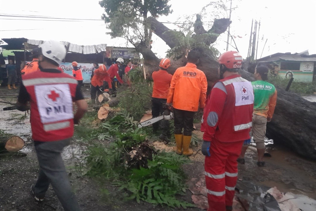 Relawan PMI dan BPBD Kabupaten Kendal saat membersihkan pohon tumbang di sekitar wilayah terdampak banjir. Foto: dokumentasi