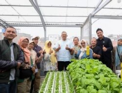 Mengenal Buruan Sae, Program Ketahanan Pangan di Kota Bandung